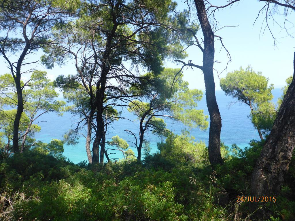 La Mirage Διαμέρισμα *